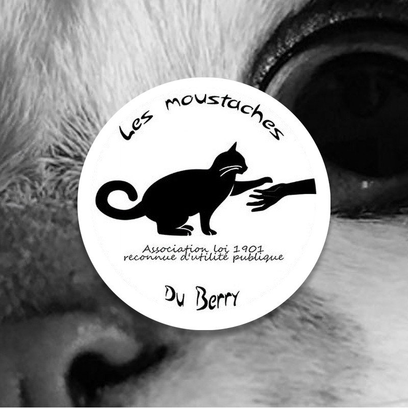 Les Moustaches du Berry association hébergeant des chats