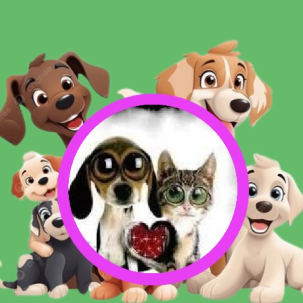 1 Toit pour toi - 12