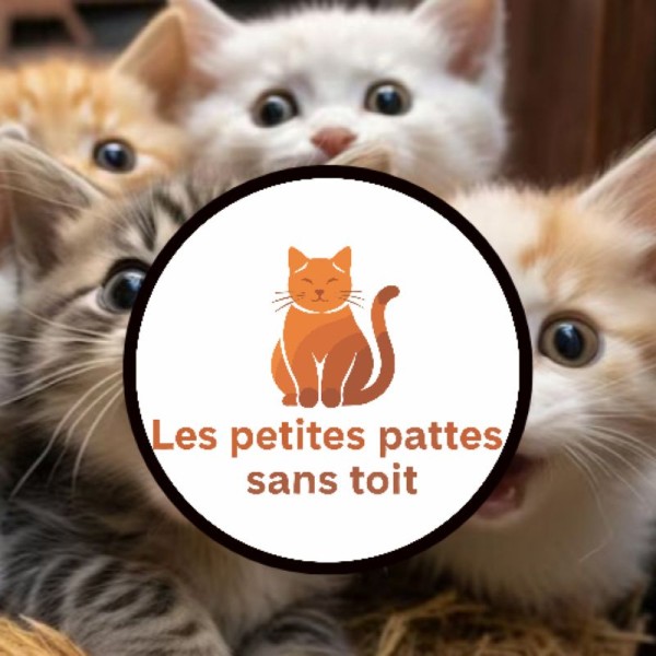 Les petites pattes sans toit - 18