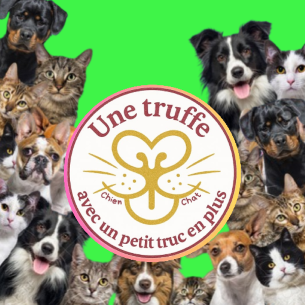 Une truffe avec un petit truc en plus - 76