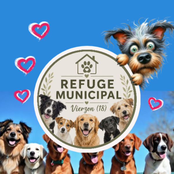 Refuge Canin de Vierzon - 18