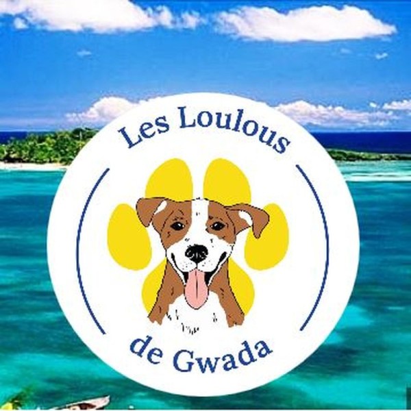 Les Loulous de Gwada