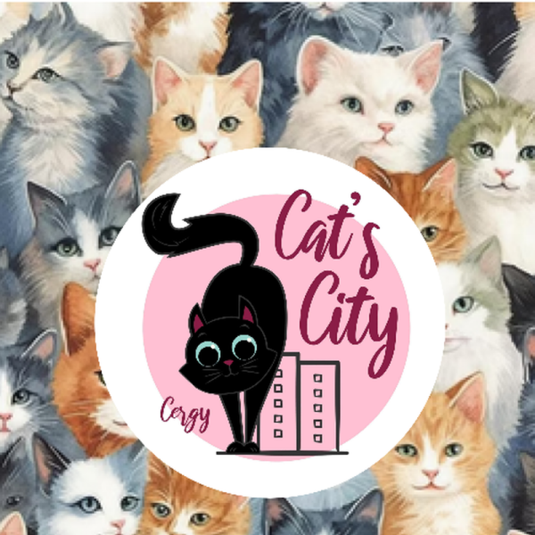 Cat's City Cergy - 95