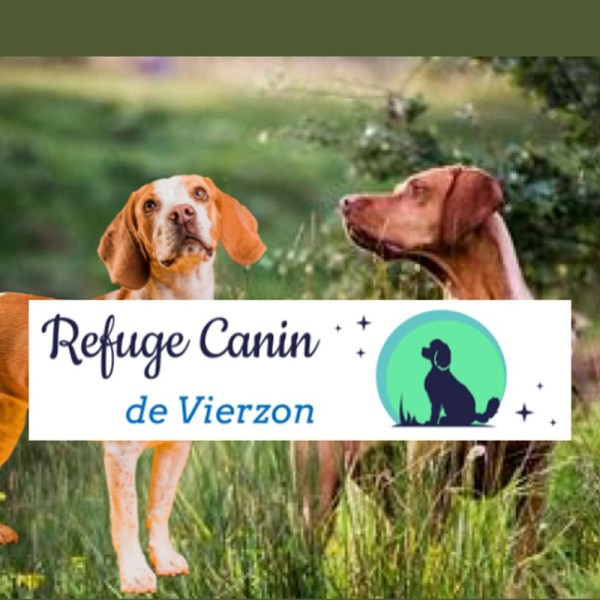 Refuge Canin de Vierzon - 18