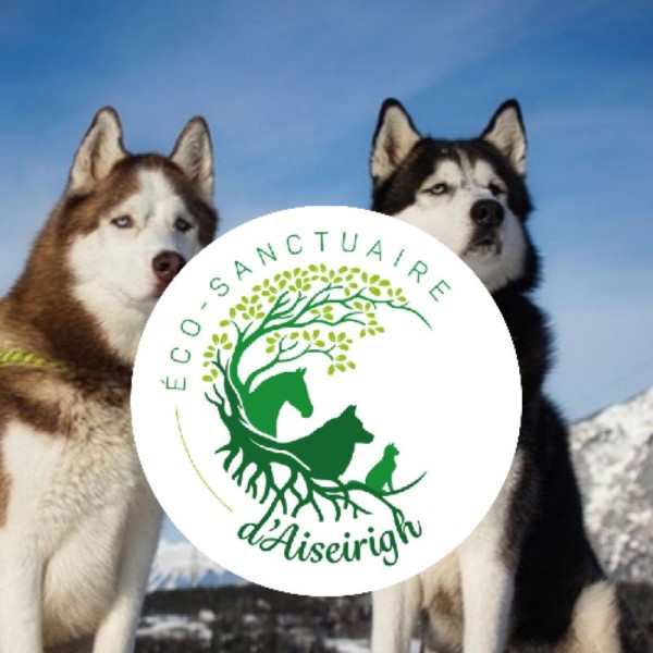 Eco-Sanctuaire d'Aiseirigh - 23